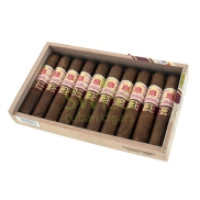 Hoyo de Monterrey Epicure de Luxe