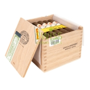 Hoyo de Monterrey Epicure No. 2