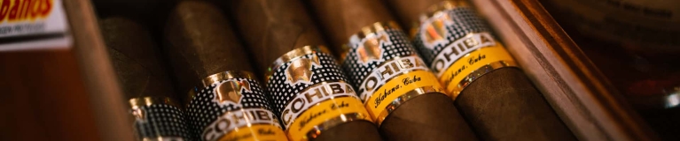 The 5 Best Cuban Cigars to Start Your Journey From