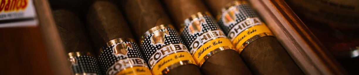 The 5 Best Cuban Cigars to Start Your Journey From